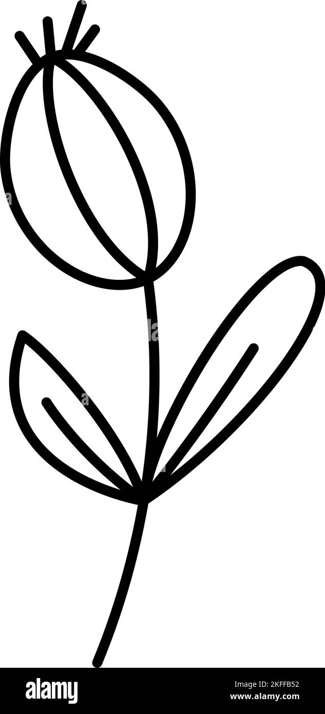 Fiore stilizzato Spring Vector con linee monoline. Elemento grafico dell'illustrazione scandinavo. Immagine floreale estiva decorativa per il biglietto di auguri di San Valentino Illustrazione Vettoriale