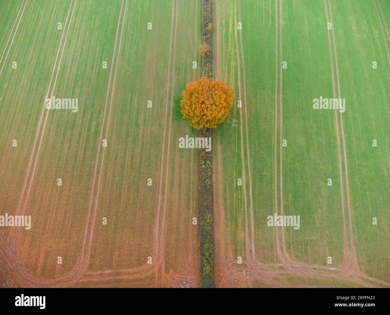 Ackerlandschaft im Herbst aus der Sicht einer Drohne Foto Stock