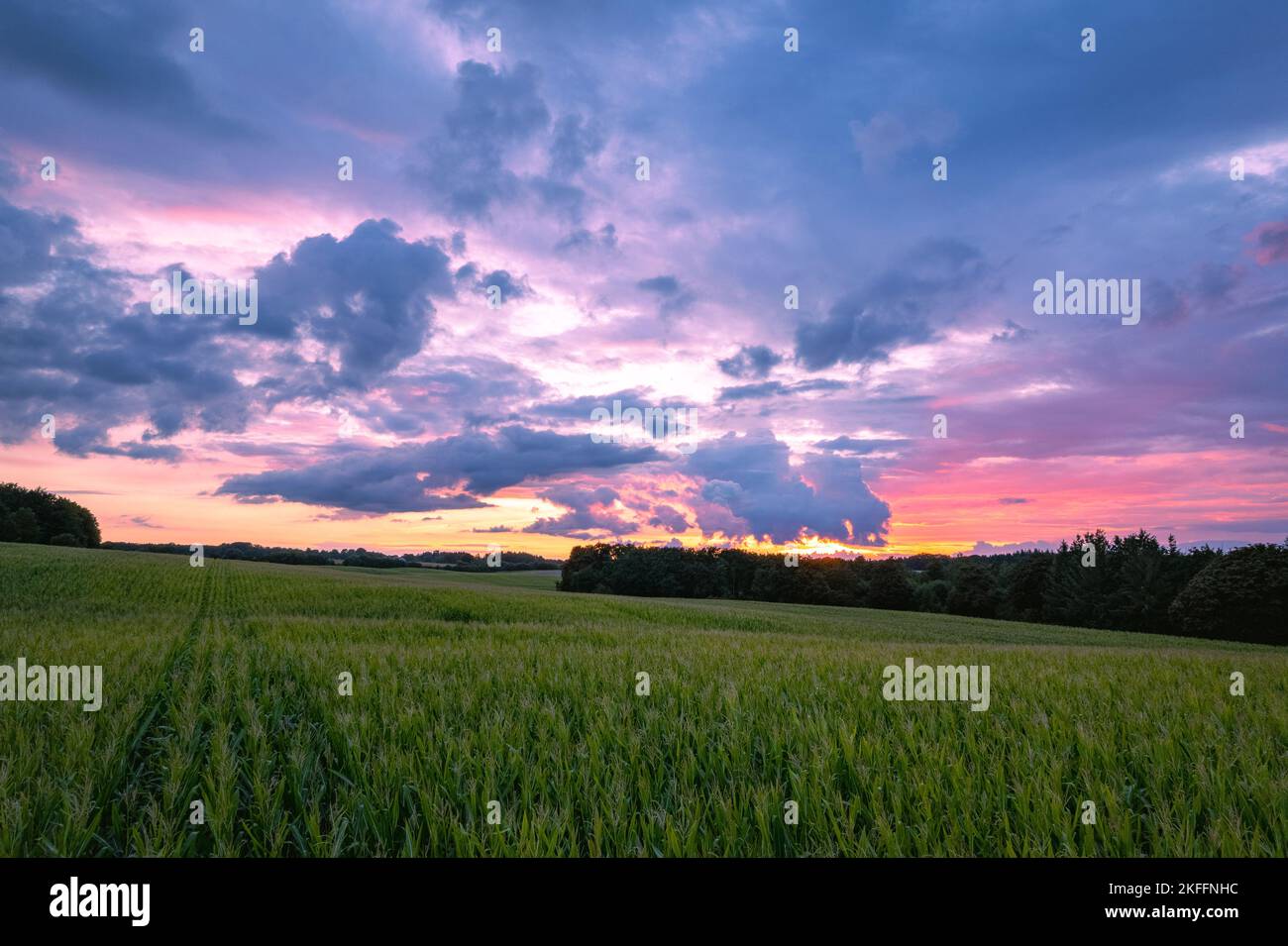 Una vista panoramica di un tramonto sui campi nello Schleswig-Holstein, Germania settentrionale Foto Stock