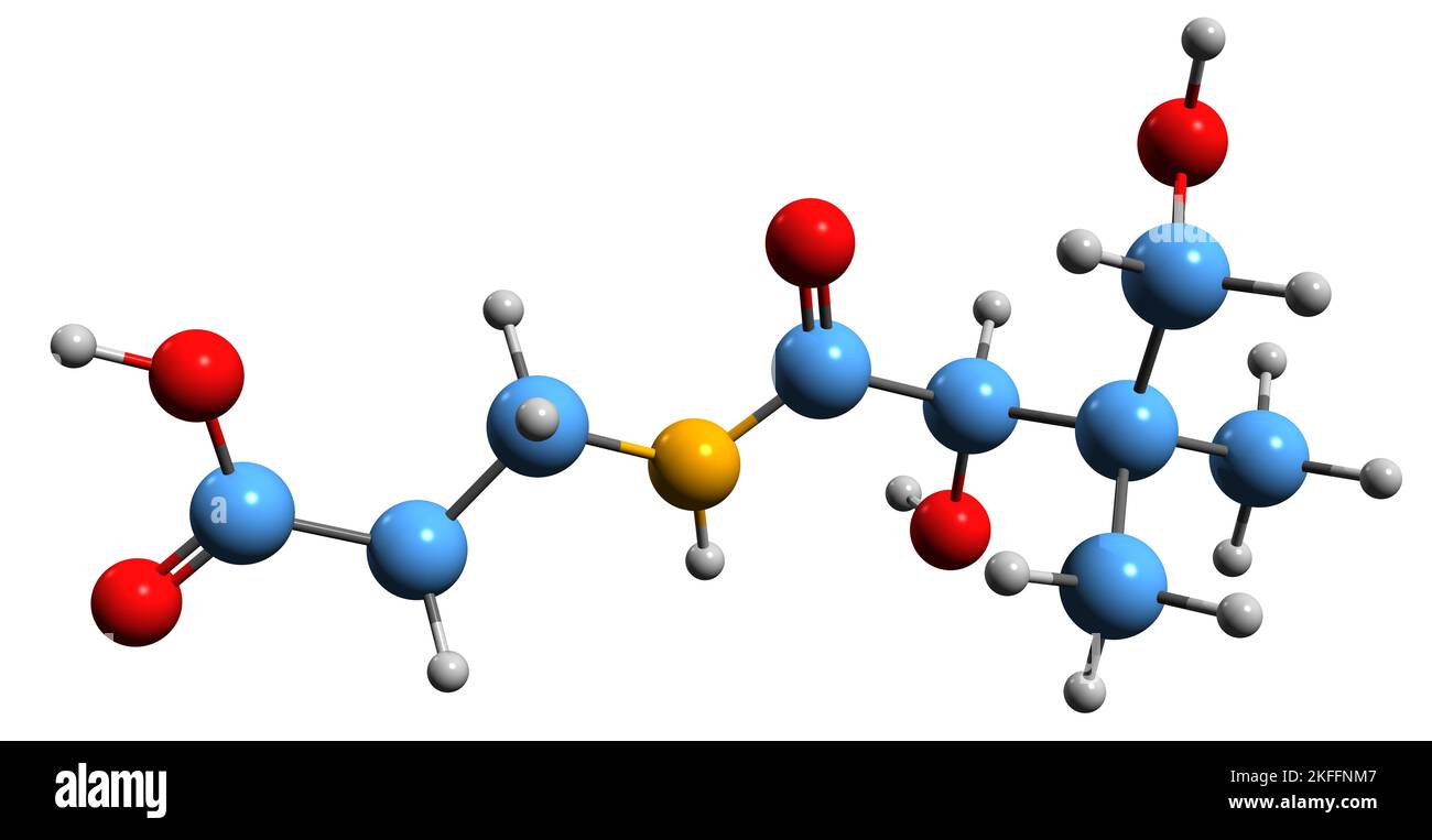 3D immagine della formula scheletrica dell'acido pantotenico - struttura chimica molecolare della vitamina B5 isolata su sfondo bianco Foto Stock