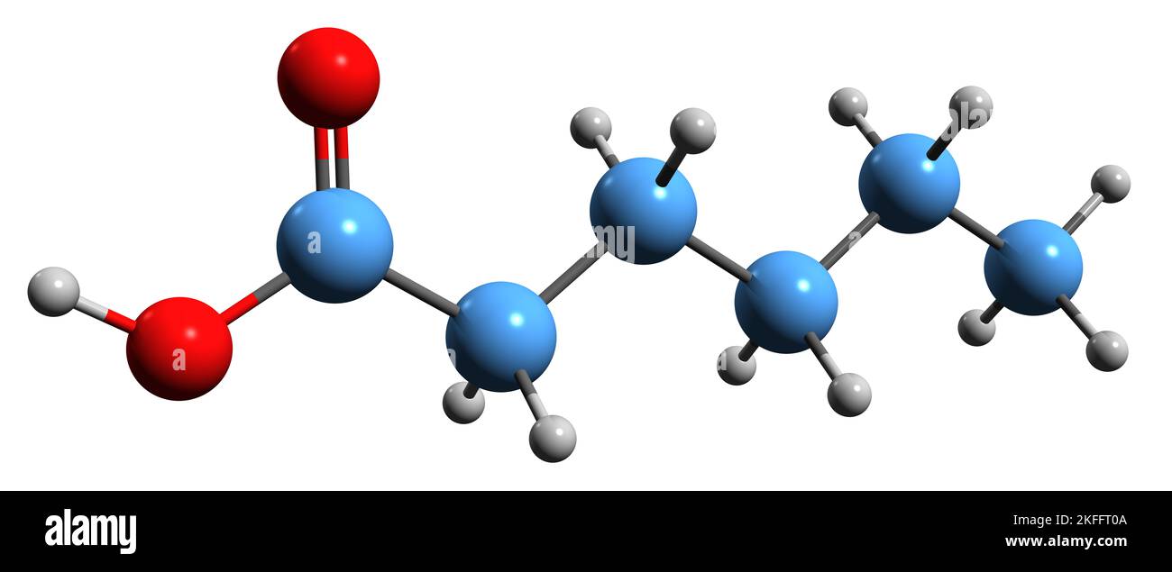 3D immagine della formula scheletrica dell'acido caproico - struttura chimica molecolare dell'acido esanoico isolato su sfondo bianco Foto Stock