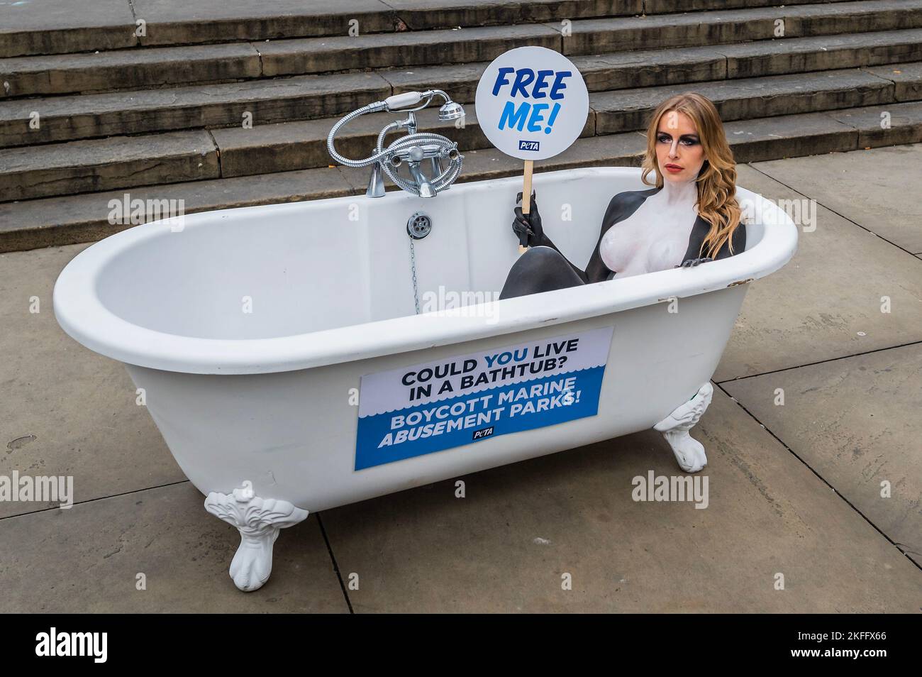 Londra, Regno Unito. 18th Nov 2022. La star dell'Isola d'amore Faye Winter (come parte di una protesta PETA) è dipinta come un'orca e si limita a una vasca da bagno stretta a Piccadilly Circus per sollecitare i molti 'Brits pianificazione fughe di saltare parchi marini che contengono orche e altri delfini in carri armati che, per loro, sono le dimensioni di una vasca da bagno'. Come parte della campagna Jet2holidays - un partner ufficiale di Love Island - sarà chiesto di smettere di promuovere i parchi marini, come il loro Parque di Tenerife, in linea con molte altre importanti compagnie di viaggio. Credit: Guy Bell/Alamy Live News Foto Stock Londra, Regno Unito. 18th Nov 2022. La star dell'Isola d'amore Faye Winter (come parte di una protesta PETA) è dipinta come un'orca e si limita a una vasca da bagno stretta a Piccadilly Circus per sollecitare i molti 'Brits pianificazione fughe di saltare parchi marini che contengono orche e altri delfini in carri armati che, per loro, sono le dimensioni di una vasca da bagno'. Come parte della campagna Jet2holidays - un partner ufficiale di Love Island - sarà chiesto di smettere di promuovere i parchi marini, come il loro Parque di Tenerife, in linea con molte altre importanti compagnie di viaggio. Credit: Guy Bell/Alamy Live News Foto Stock