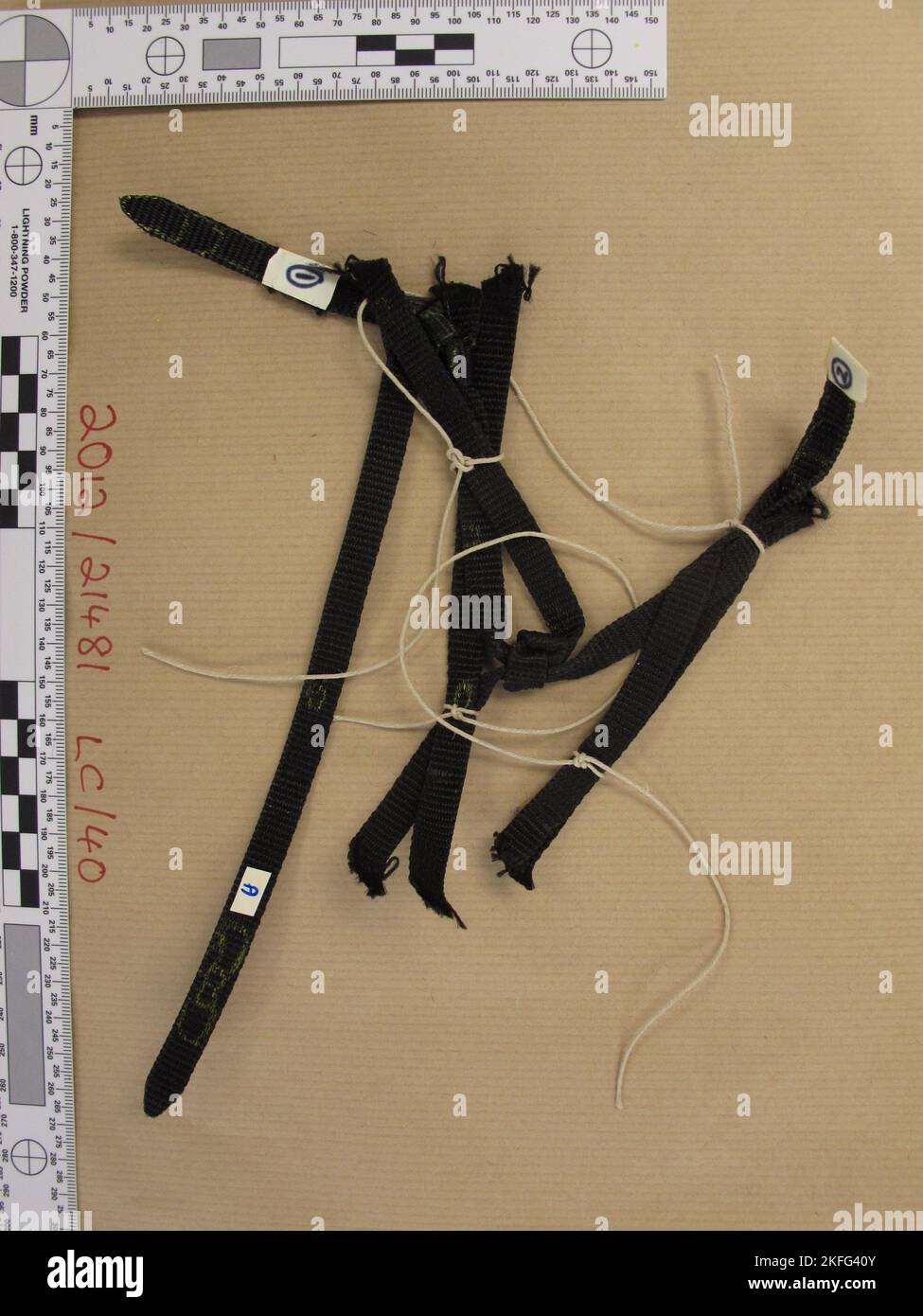 La foto dell'handout non datata dalla polizia metropolitana della cinghia usata da Danville Neil per legare le mani di William Bryan. Il violento criminale di carriera è stato giudicato colpevole di aver ucciso un fratello e una sorella anziani in uno scassinatore. Il veterano della seconda guerra mondiale, William Bryan, di 65 anni, attaccò il 71, e la vedova Anne Castle, di 74 anni, durante un rodaggio nella loro casa di Londra orientale nell'agosto del 1993. Data di emissione: Venerdì 18 novembre 2022. Foto Stock