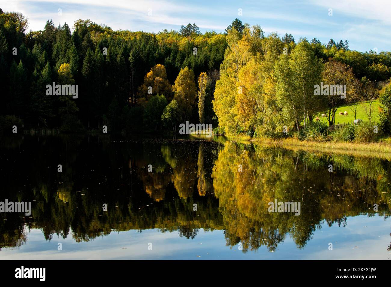 Lago che riflette alberi verdi della foresta, lago in Auvergne, Francia Foto Stock