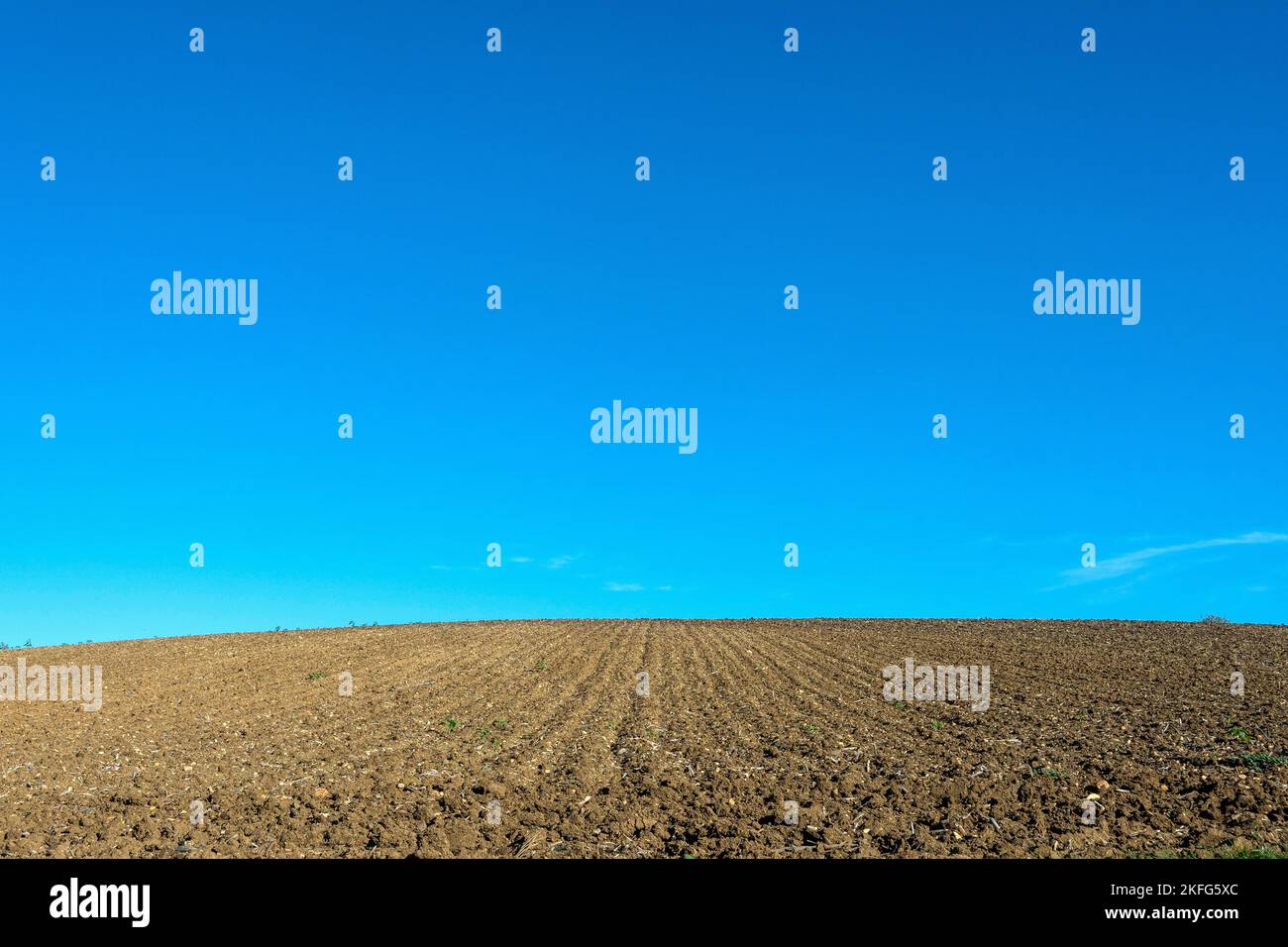 Ripresa orizzontale di un campo arato vuoto sotto un cielo blu Foto Stock