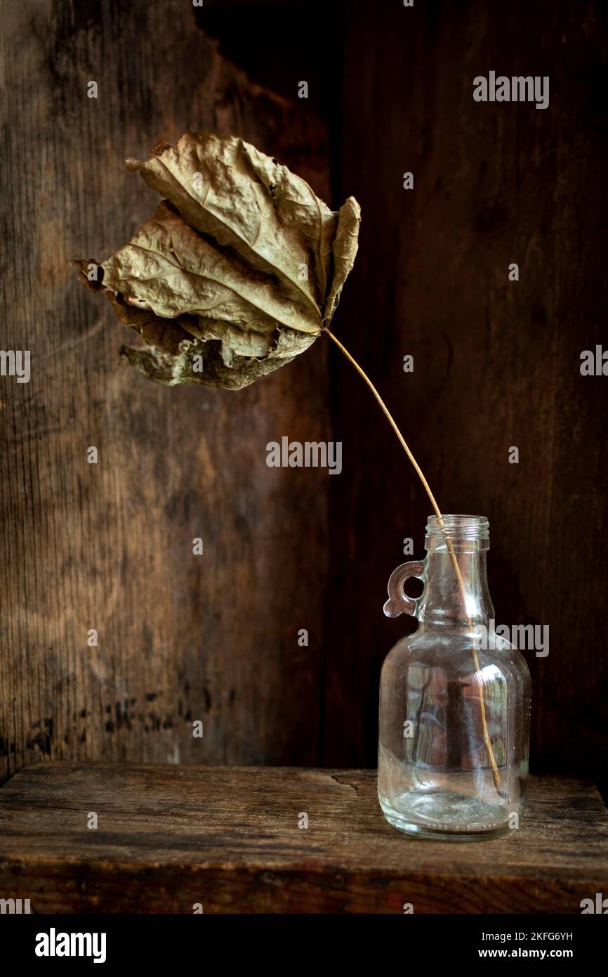 Una foglia secca in una bottiglia di vetro con fondo in legno Foto Stock