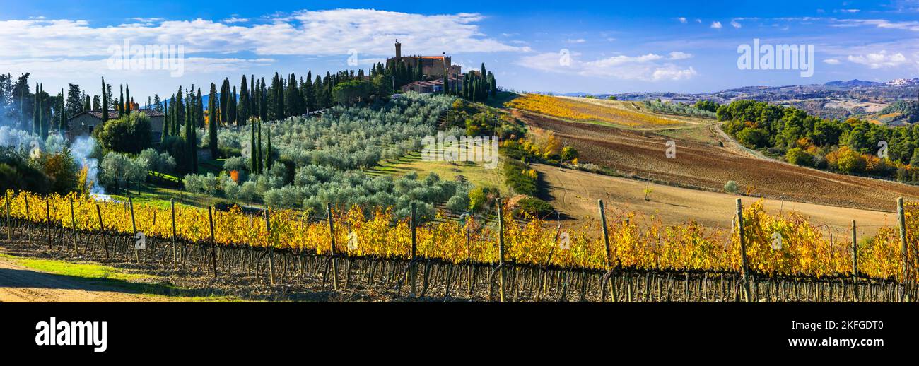 Vigneti d'oro della Toscana. Panorama di con campi autunnali gialli in regione del vino Toscana. Italia Foto Stock