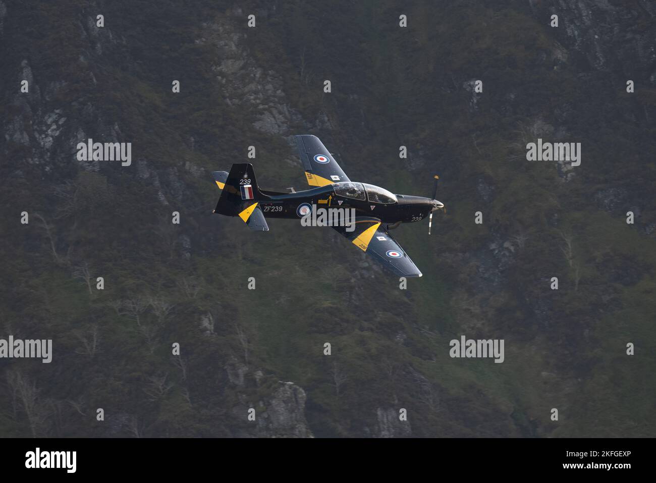Preso il 1 novembre 2017 nel Mach Loop, Machynlleth, Galles UK. Nero e giallo, RAF Training caccia jet che vola attraverso le montagne. Verde scuro Foto Stock