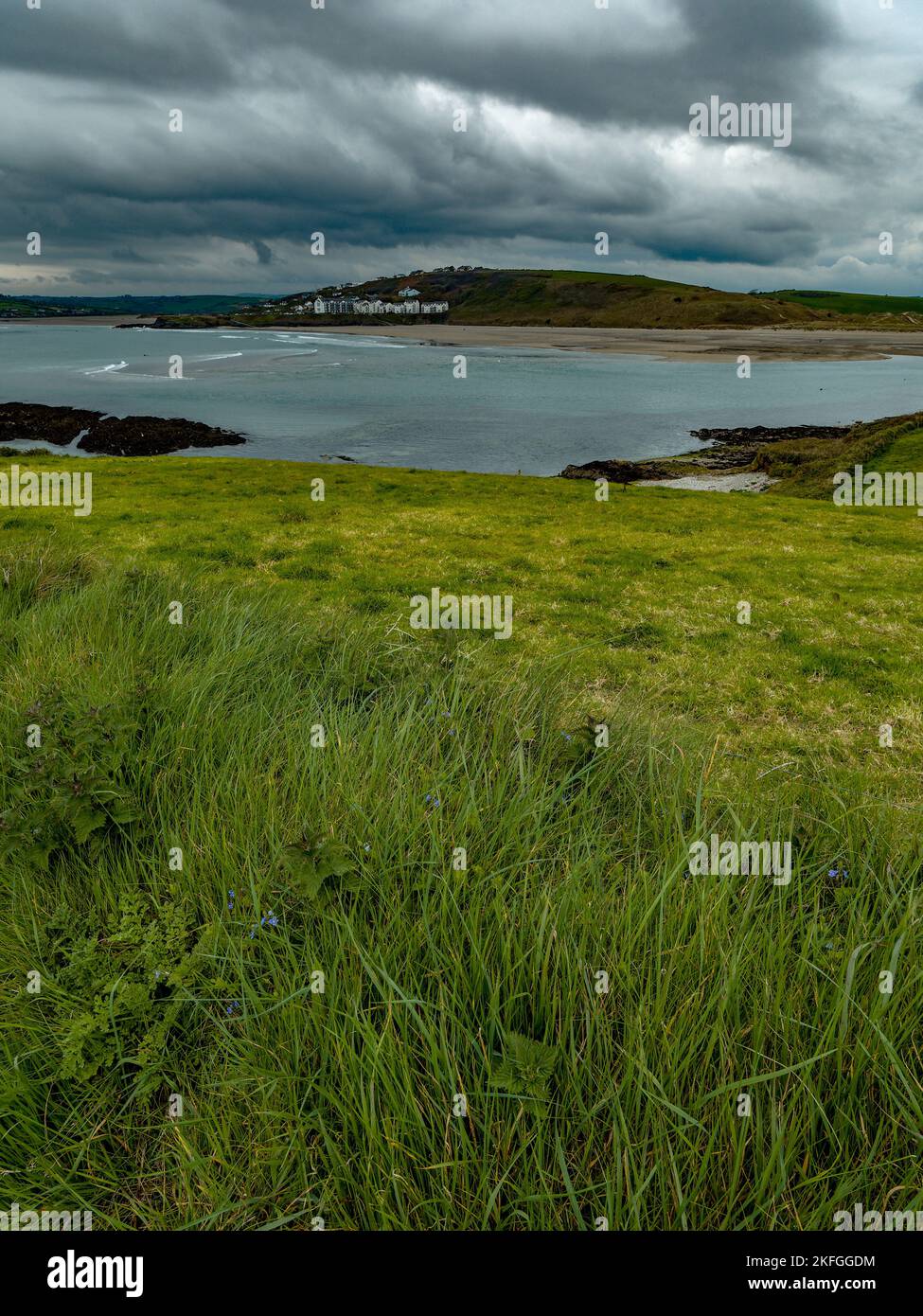Vista sulla baia di Clonakilty. Erba fitta, costa. Paesaggio sul mare. Tempo nuvoloso. Foto Stock