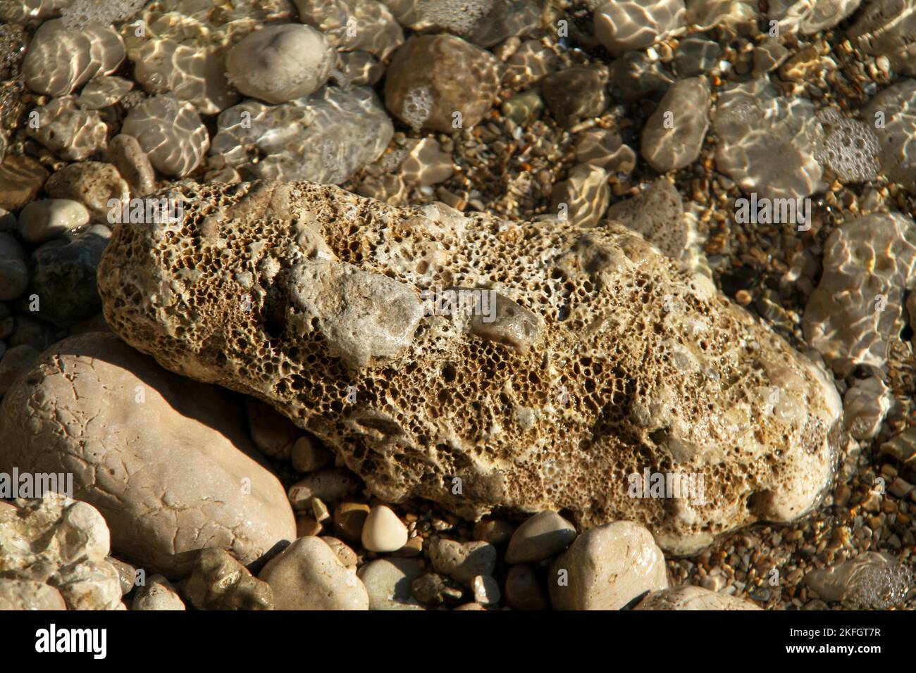 Primo piano di una roccia calcarea in acqua, con un aspetto snocciolato come risultato dell'azione dell'acqua Foto Stock