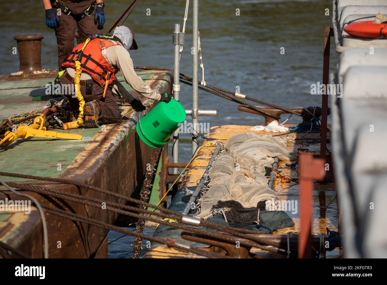 Un rappresentante dello U.S. Fish and Wildlife Service scarica manualmente un numero calcolato di pesci tra due chiatte durante i test di deterrenza automatizzati di sbarramento delle chiatte a Peoria Lock e Dam. Questa azione è stata eseguita per misurare l'efficacia del sistema. Invasive Carp, Lock and Dam, navigazione, Peoria, Rock Island District, USACE, Foto Stock