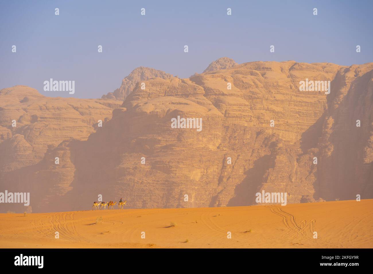 Cammelli nelle montagne di Wadi Rum Giordania Foto Stock