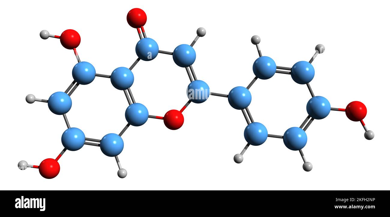 3D immagine della formula scheletrica di Genistein - struttura chimica molecolare dell'isoflavone triidrossiisoflavone isolato su sfondo bianco Foto Stock