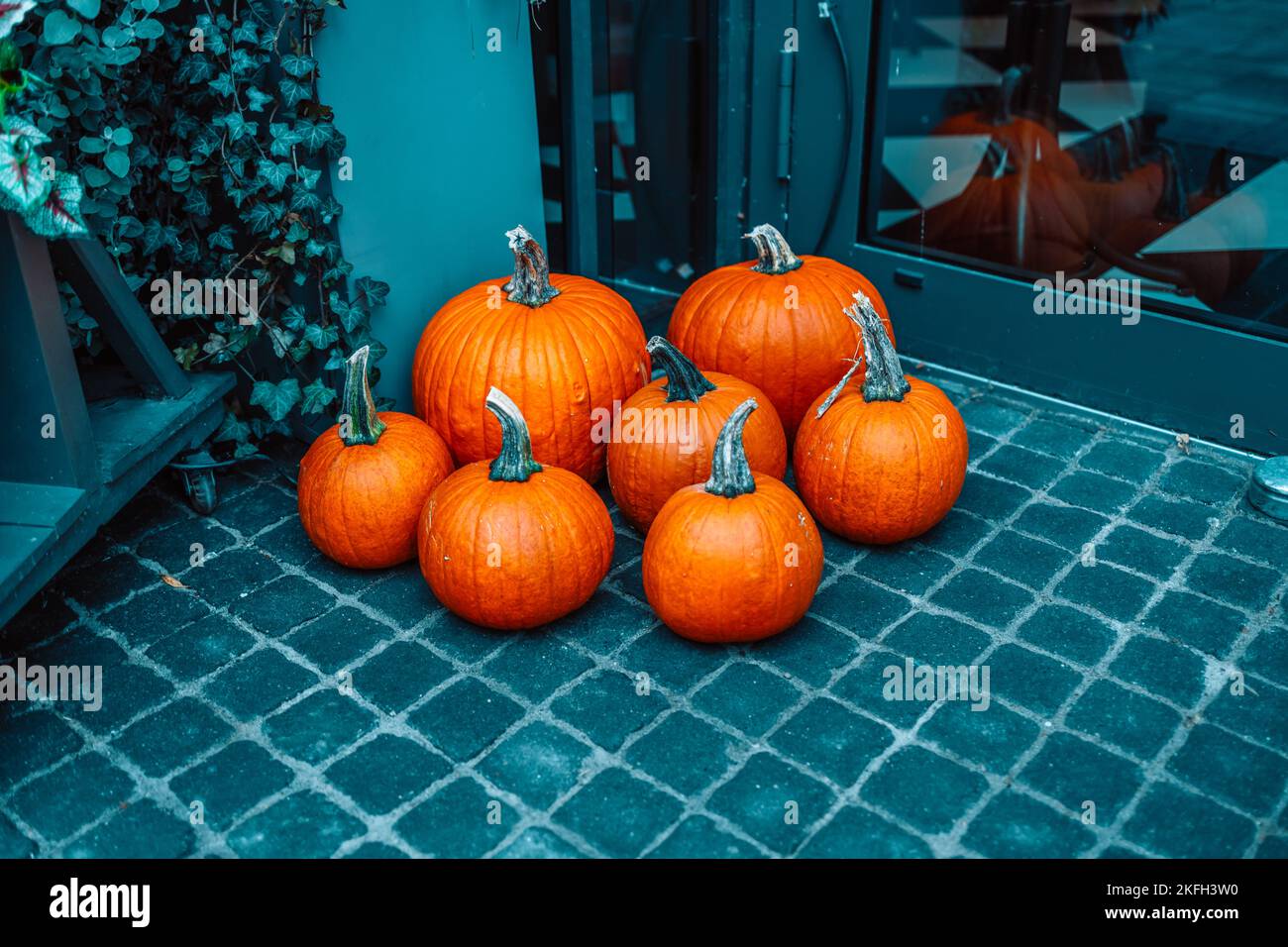 Zucche, erica una decorazione dei passi di un negozio di fiori. Halloween e giorno del Ringraziamento. Zucche festive. Zucche autunnali festive a portata di mano. A. Foto Stock