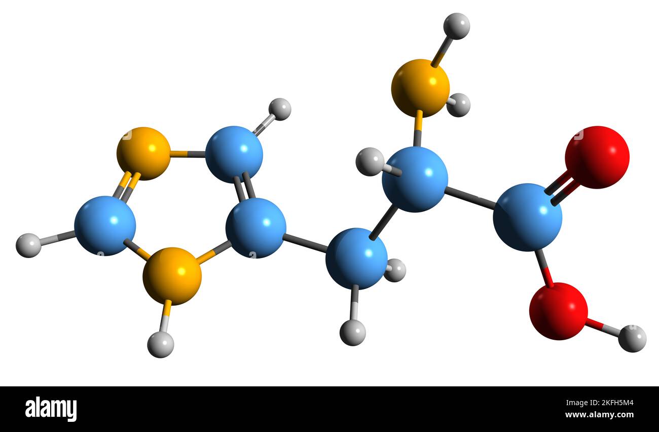 3D immagine della formula scheletrica istidina - struttura chimica molecolare dell'amminoacido essenziale isolato su sfondo bianco Foto Stock