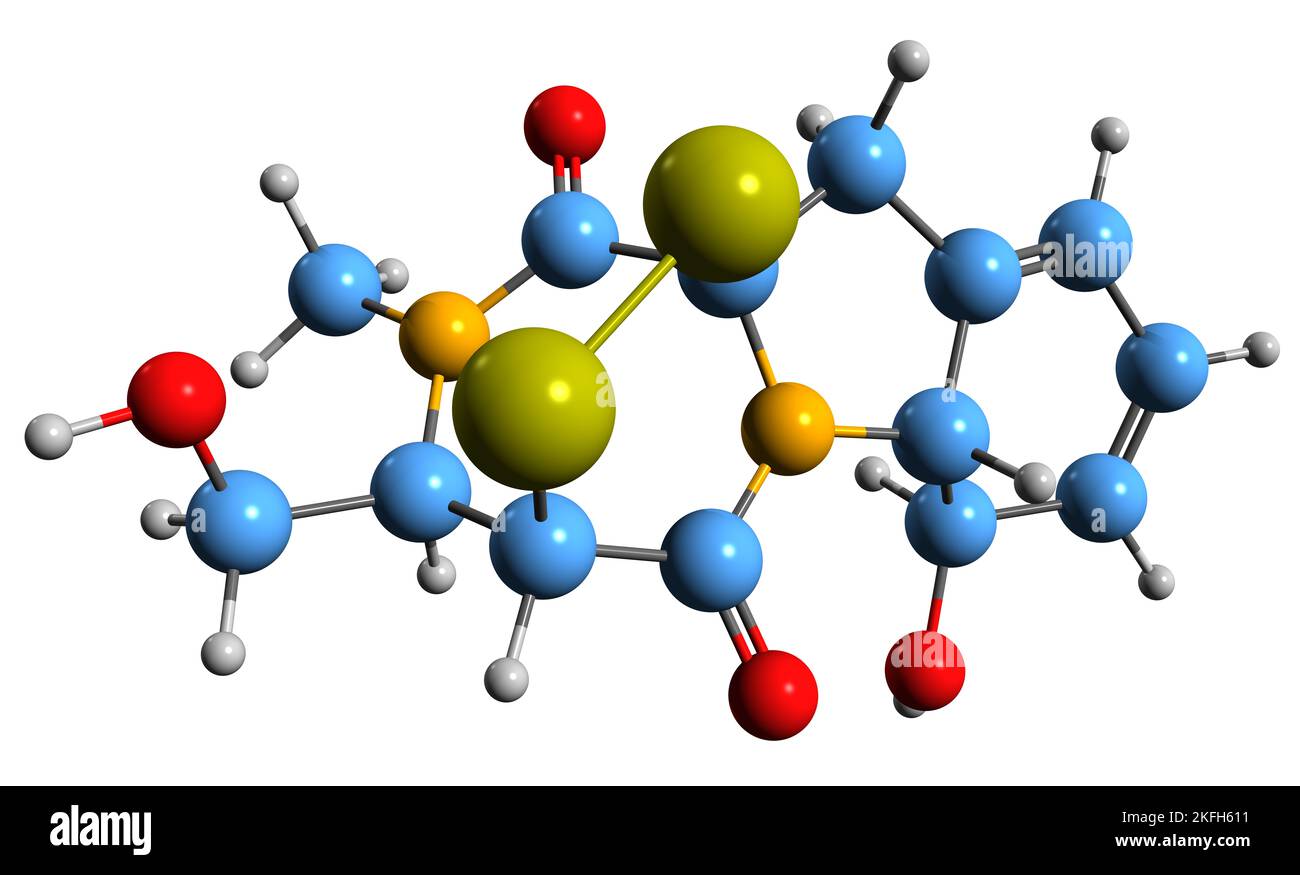 3D immagine della formula scheletrica della glitotossina - struttura chimica molecolare della micotossina contenente zolfo isolata su sfondo bianco Foto Stock 3D immagine della formula scheletrica della glitotossina - struttura chimica molecolare della micotossina contenente zolfo isolata su sfondo bianco Foto Stock