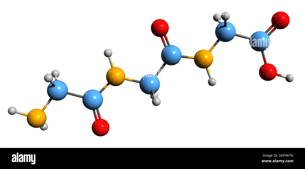 3D immagine di glicil-glicil-glicina formula scheletrica - struttura chimica molecolare del tripeptide H-Gly-Gly-Gly-OH isolato su sfondo bianco Foto Stock