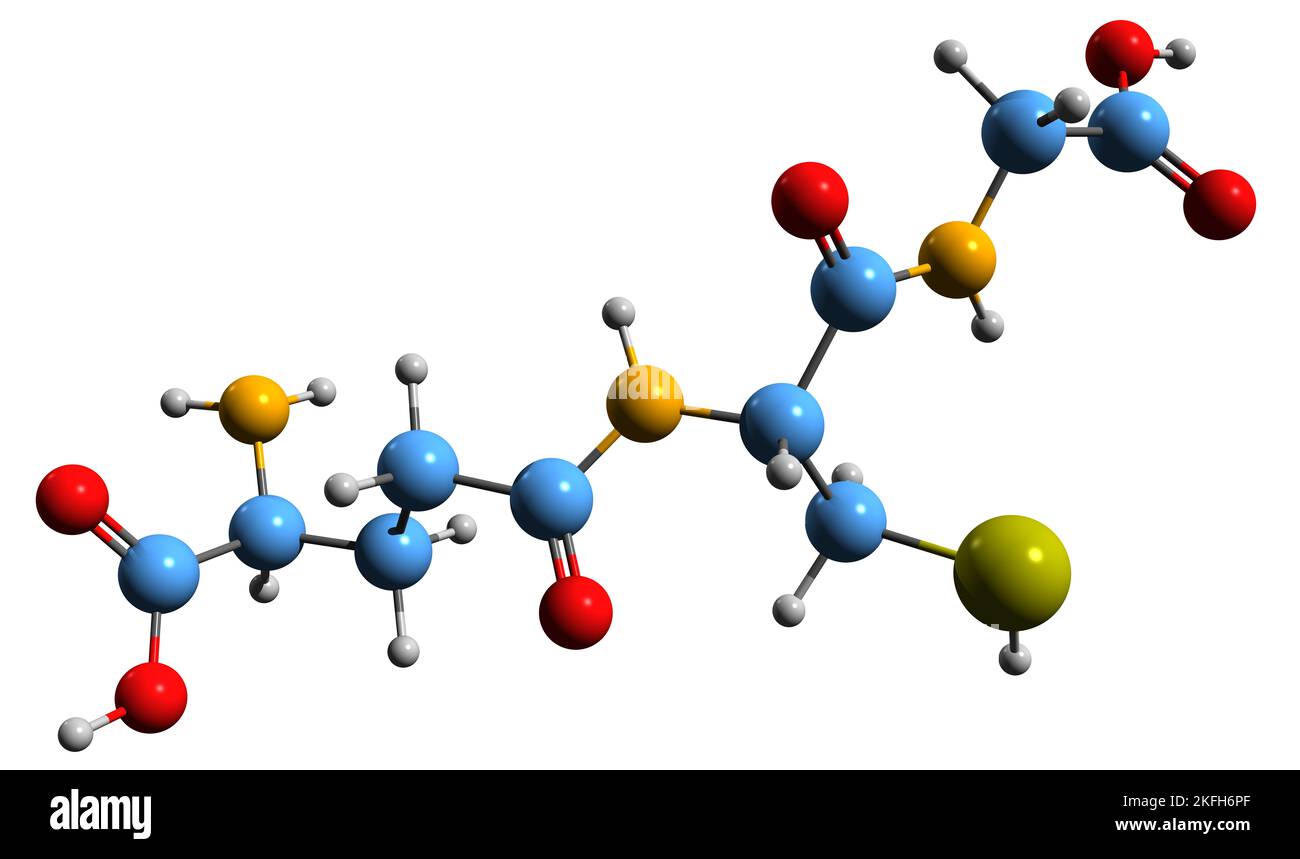 3D immagine della formula scheletrica del glutatione - struttura chimica molecolare dell'antiossidante tripeptidico isolato su sfondo bianco Foto Stock