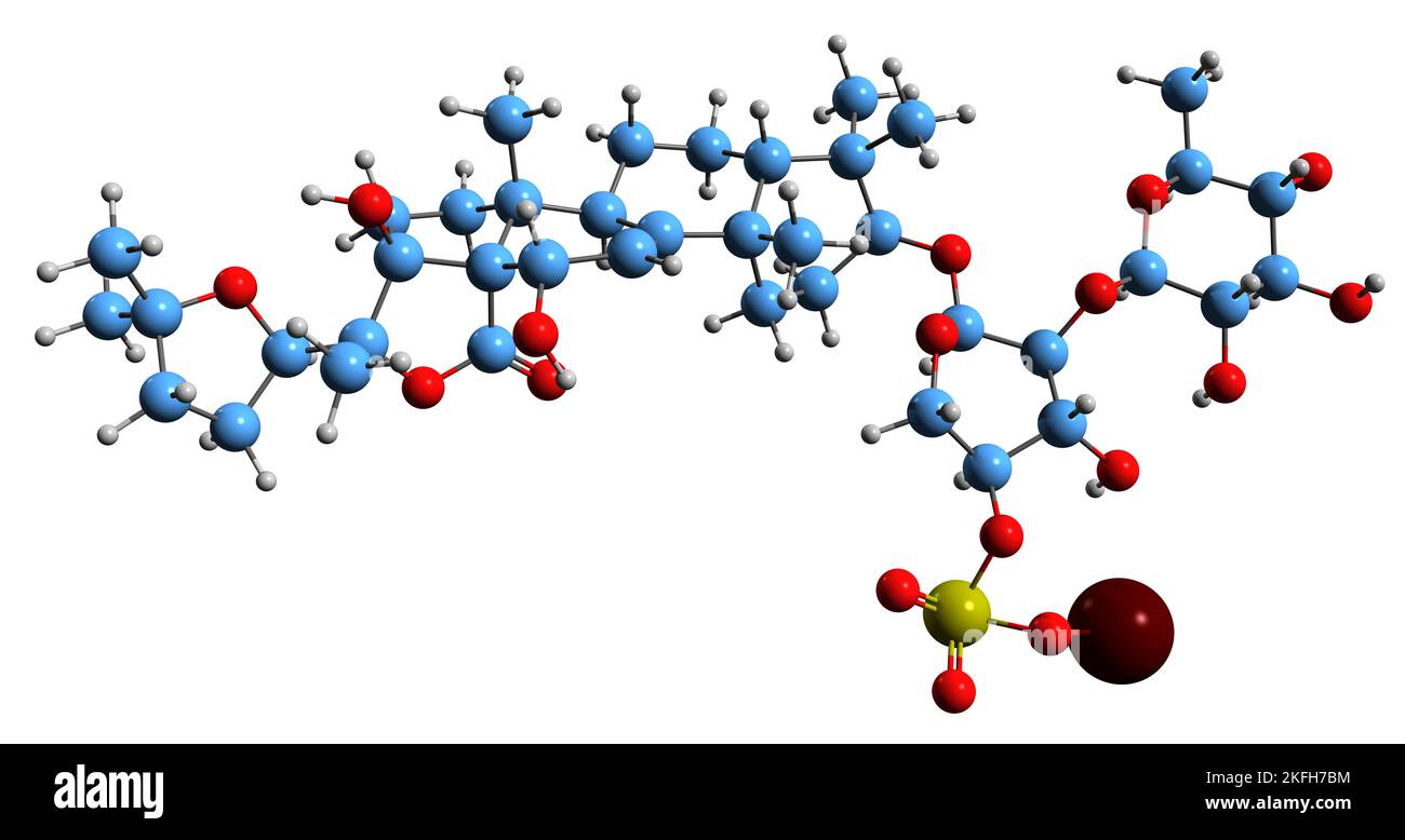 3D immagine di Holothurin B formula scheletrica - struttura chimica molecolare del glicoside triterpenico isolato su sfondo bianco Foto Stock
