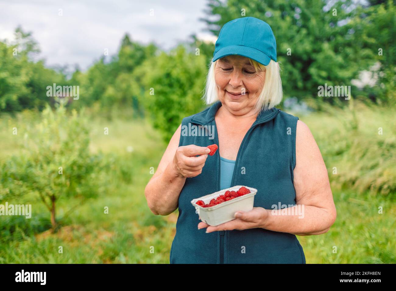 Grandi lamponi appena raccolti in mano al contadino. Vendemmia estiva. Raccolta di lamponi. Bacche sane. Foto Stock