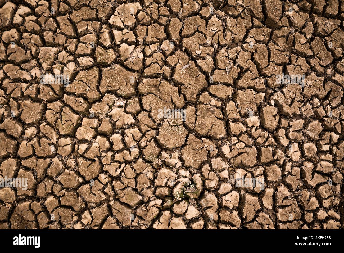 Terreno incrinato causato da secchezza, suolo di argilla disidratato, effetti negativi della stagione estiva secca Foto Stock