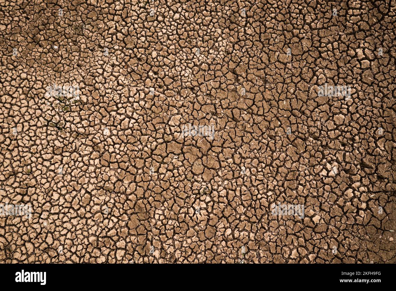 Grandi crepe di fango nel suolo asciutto durante gli incantesimi caldi di estate, mancanza di pioggia risultato. Concetto di riscaldamento globale. Foto Stock
