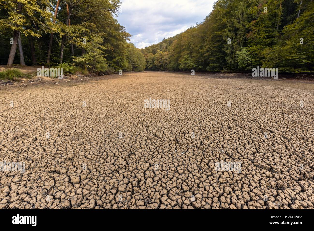 Terreno incrinato causato da secchezza, suolo di argilla disidratato, effetti negativi della stagione estiva secca Foto Stock