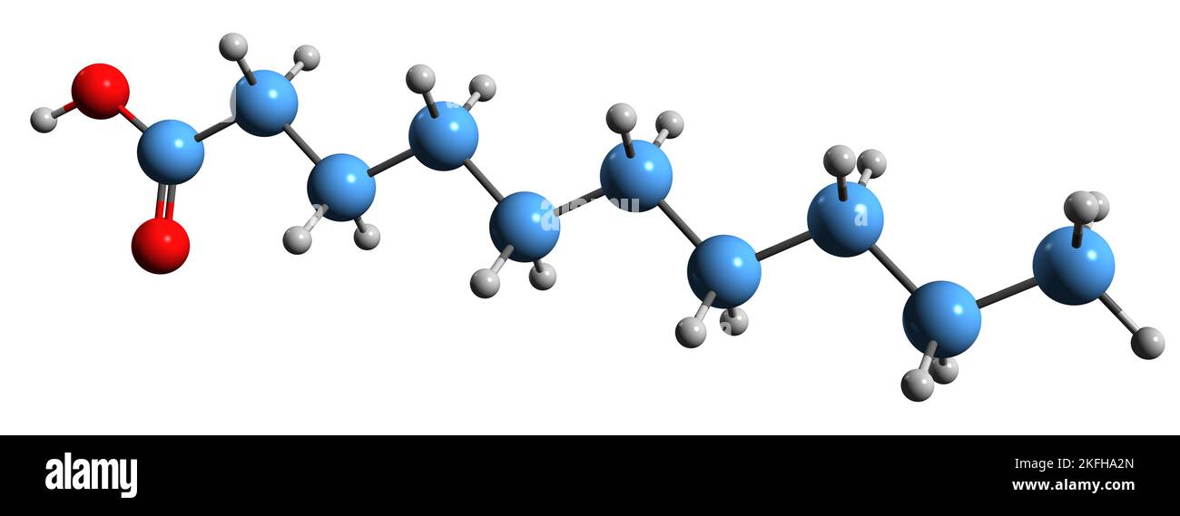 3D immagine della formula scheletrica dell'acido caprico - struttura chimica molecolare dell'acido decanoico isolato su sfondo bianco Foto Stock