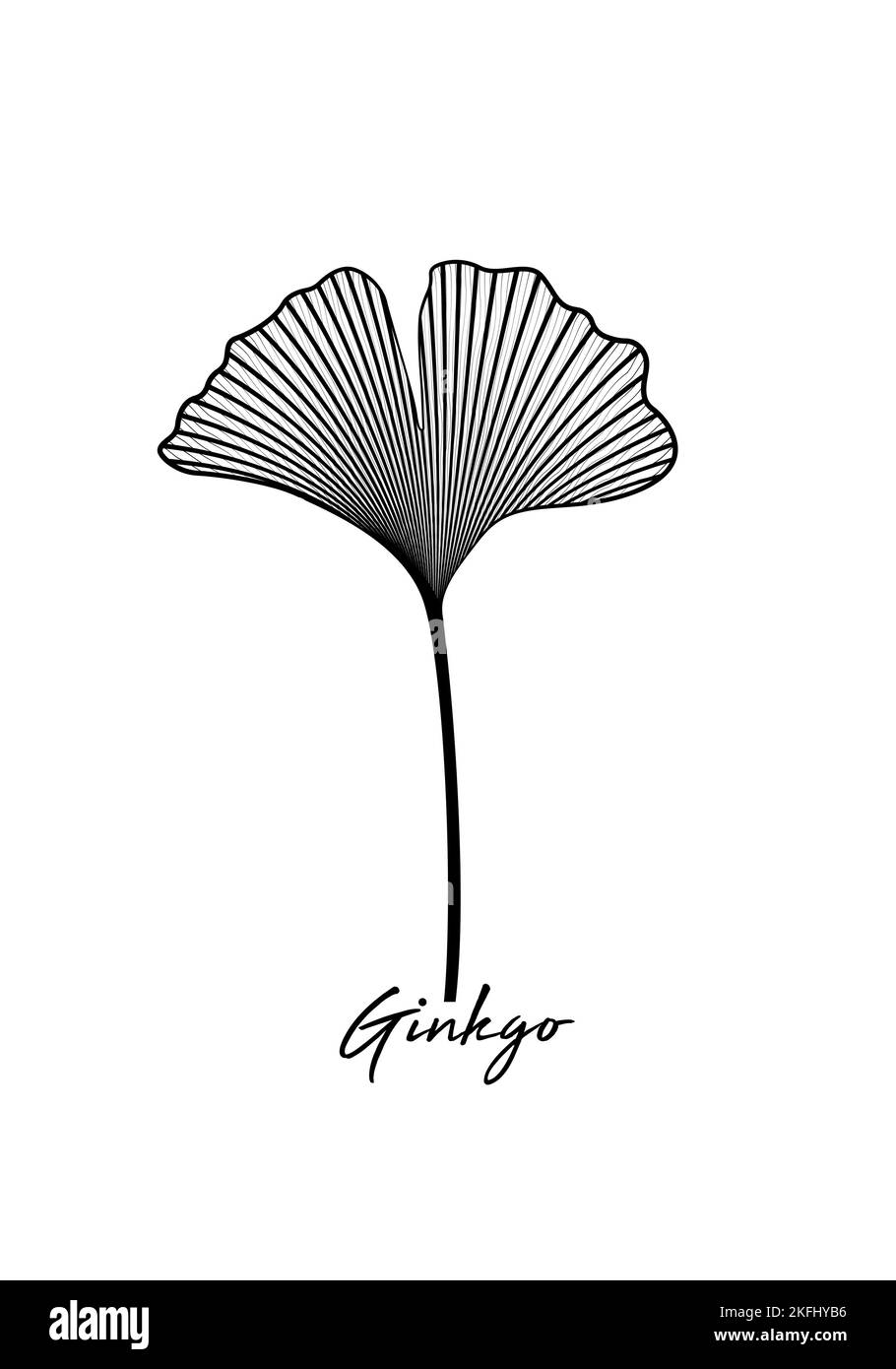 Foglia di Ginkgo biloba isolata su sfondo bianco. Foglie disegnate a mano. Logo disegno vettoriale bianco e nero figura botanica Illustrazione Vettoriale