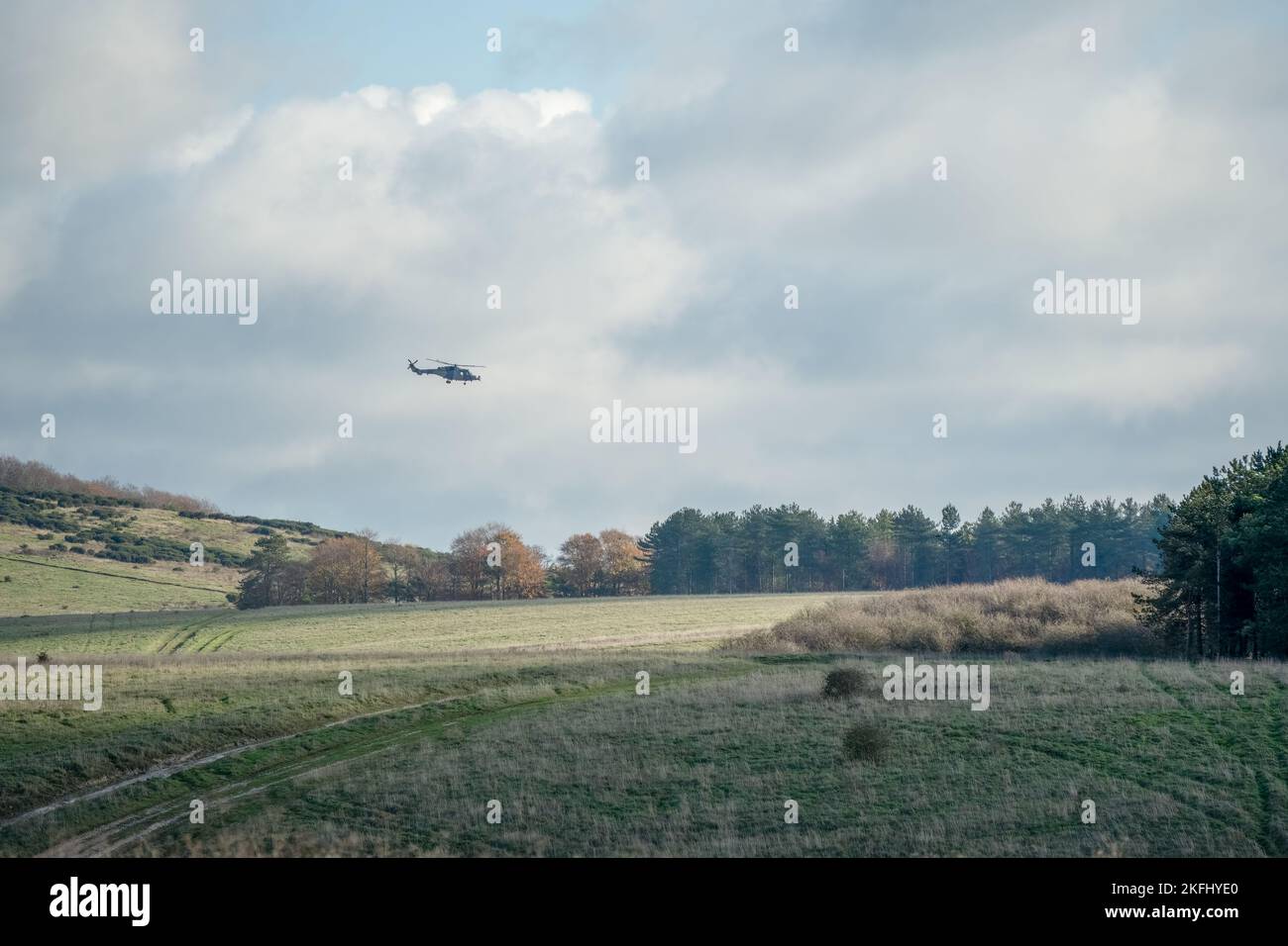 Esercito britannico AgustaWestland AW159 Wildcat AH1 elicottero volo basso su campagna aperta Foto Stock