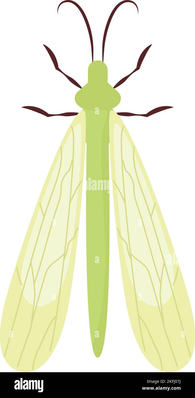 design verde libellula Illustrazione Vettoriale