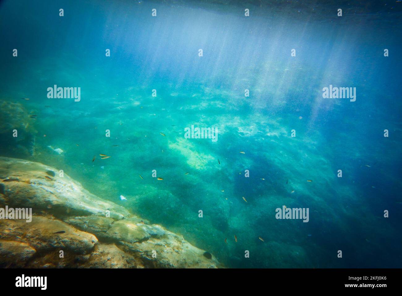 Vista ad alto angolo della scuola di pesci che nuotano sul fondo dell'oceano sott'acqua nel mare blu Foto Stock