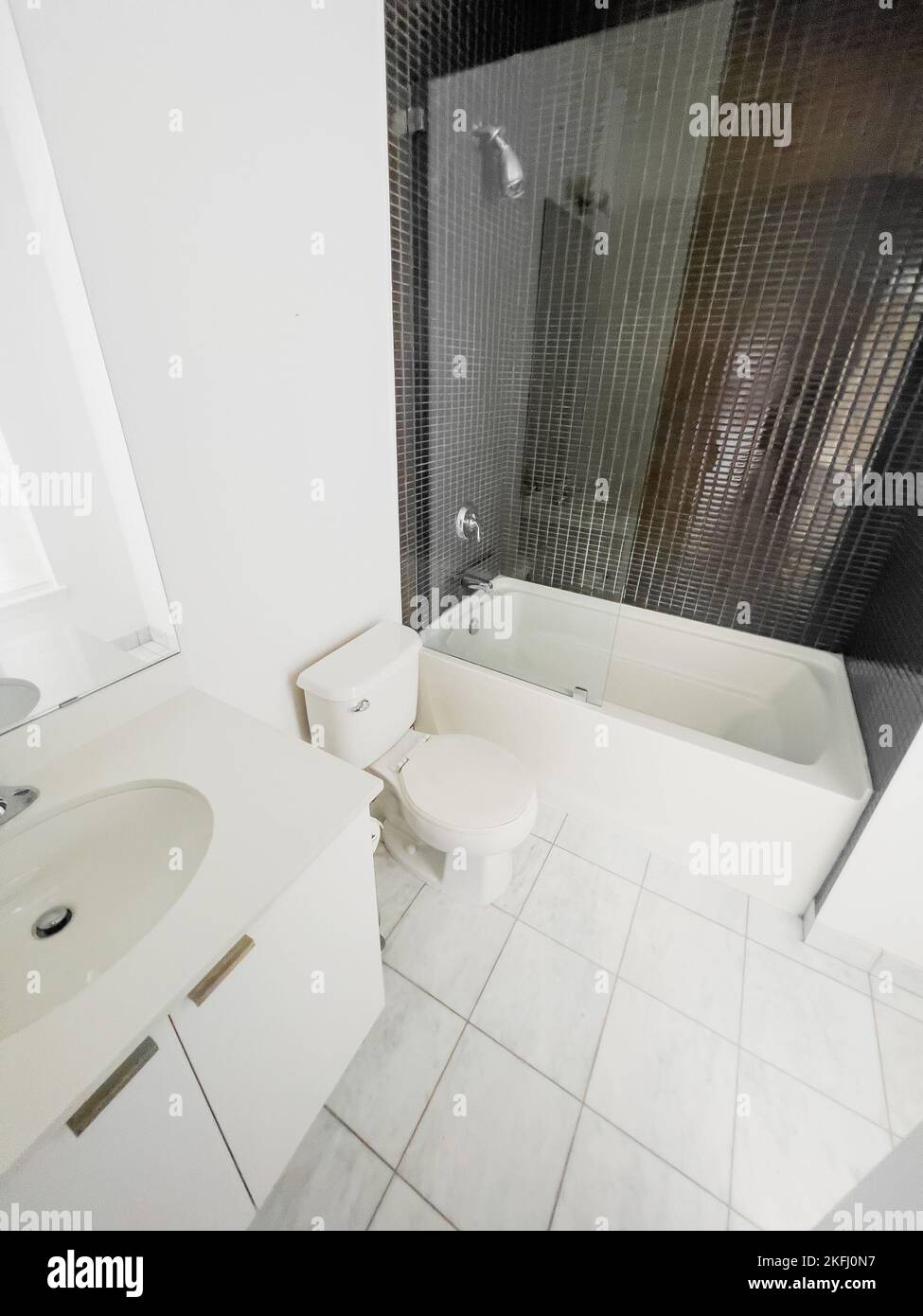 Vasca da bagno bianca vicino al gabinetto e lavandino contro il muro a mosaico in un bagno moderno e pulito. Foto Stock