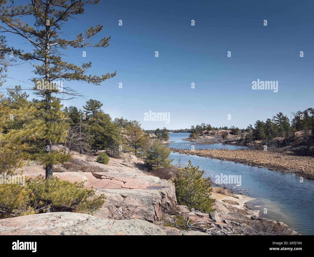 Vista panoramica del fiume che scorre da alberi e formazioni rocciose contro il cielo blu chiaro nella foresta durante le giornate di sole Foto Stock