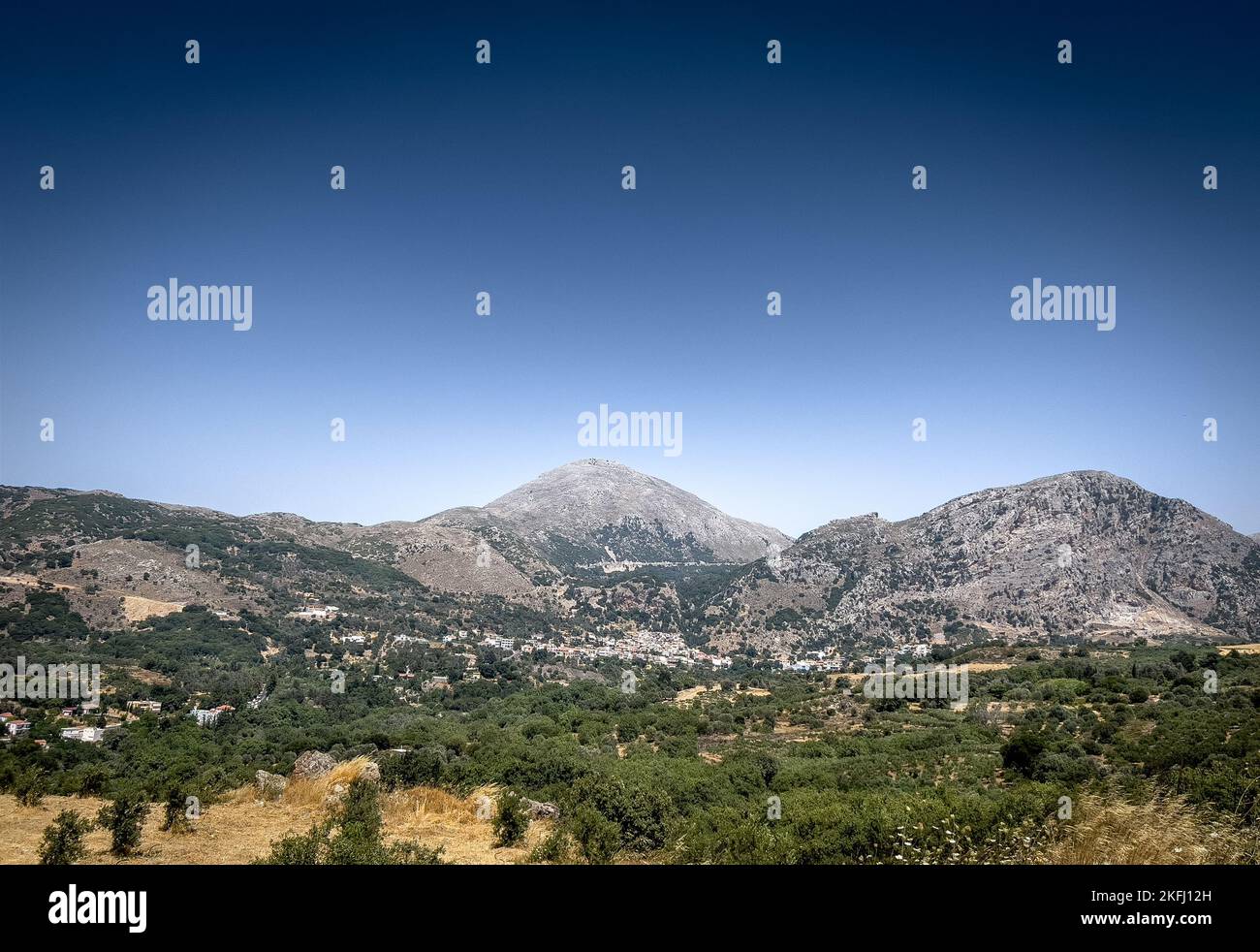 Vista panoramica di alberi lussureggianti che crescono sul paesaggio e la montagna contro il cielo blu chiaro durante le giornate di sole Foto Stock