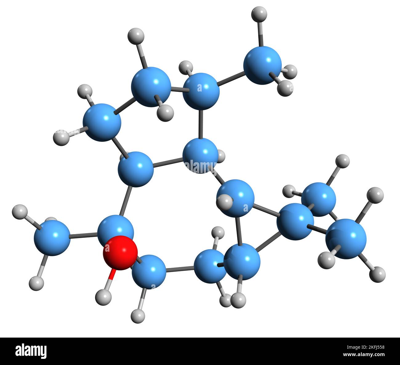 3D immagine della formula scheletrica di Ledol - struttura chimica molecolare del sesquiterpene velenoso isolato su sfondo bianco Foto Stock
