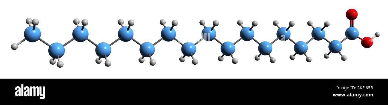 3D immagine della formula scheletrica dell'acido margarico - struttura chimica molecolare dell'acido eptadecanoico isolato su sfondo bianco Foto Stock