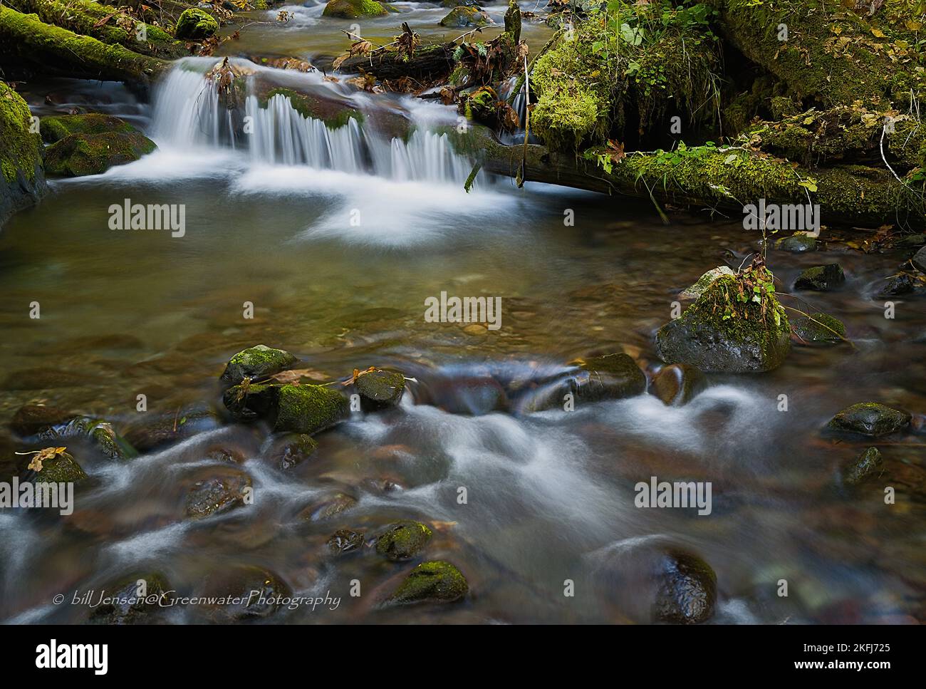 Lilliwaup Creek Foto Stock