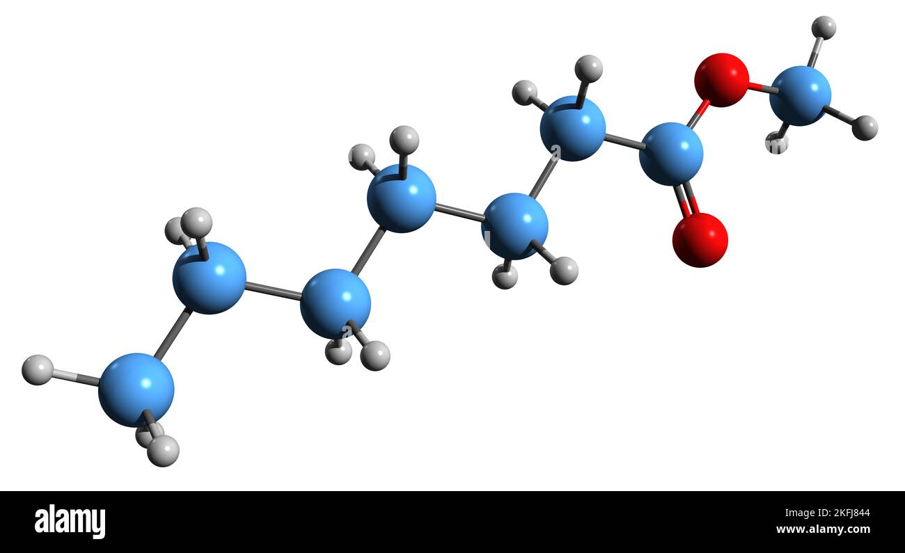 3D immagine di formula scheletrica di eptanoato di metile - struttura chimica molecolare di fitochimica isolata su sfondo bianco Foto Stock