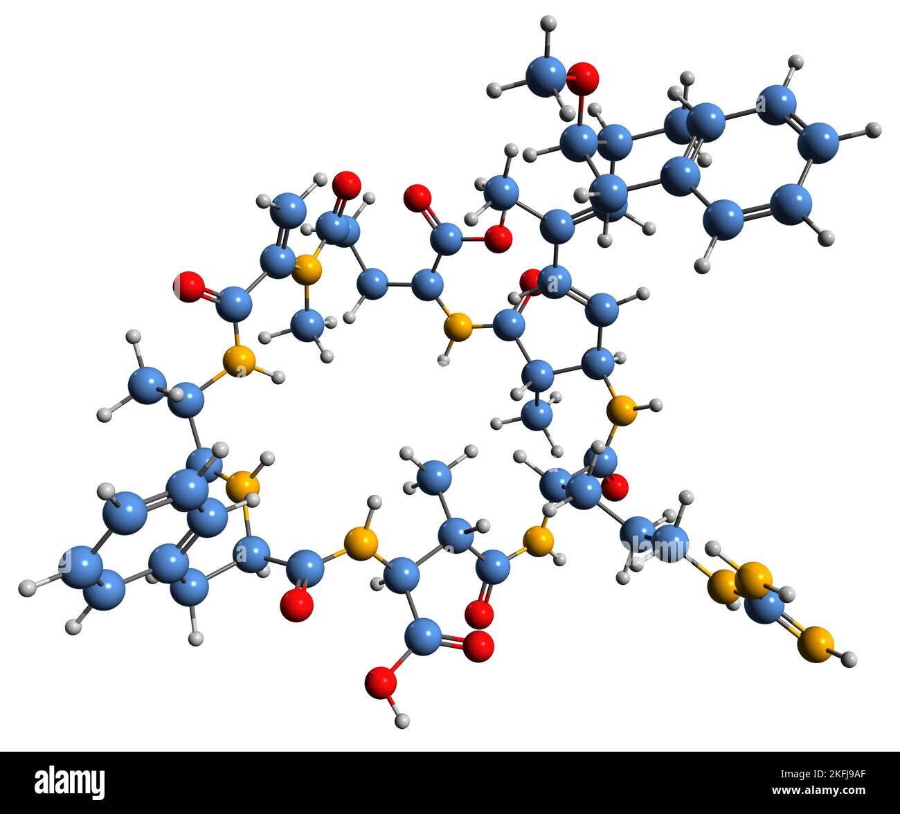 3D immagine di Microcystin FR formula scheletrica - struttura chimica molecolare della tossina cianoginosina FR isolata su sfondo bianco Foto Stock