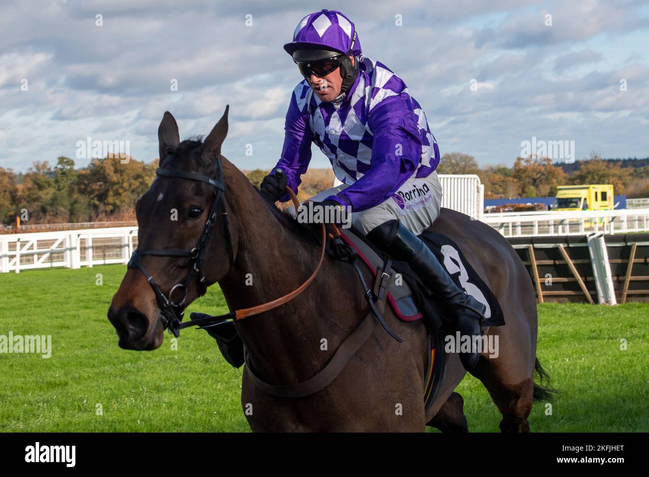 Ascot, Berkshire, Regno Unito. 18th Novembre 2022. Horse Eyed guidato dal jockey Richie McLernon Rides in the Wood and Wood Signs National Hunt Maiden Hindle Race all'ippodromo di Ascot. Credit: Maureen McLean/Alamy Live News Foto Stock