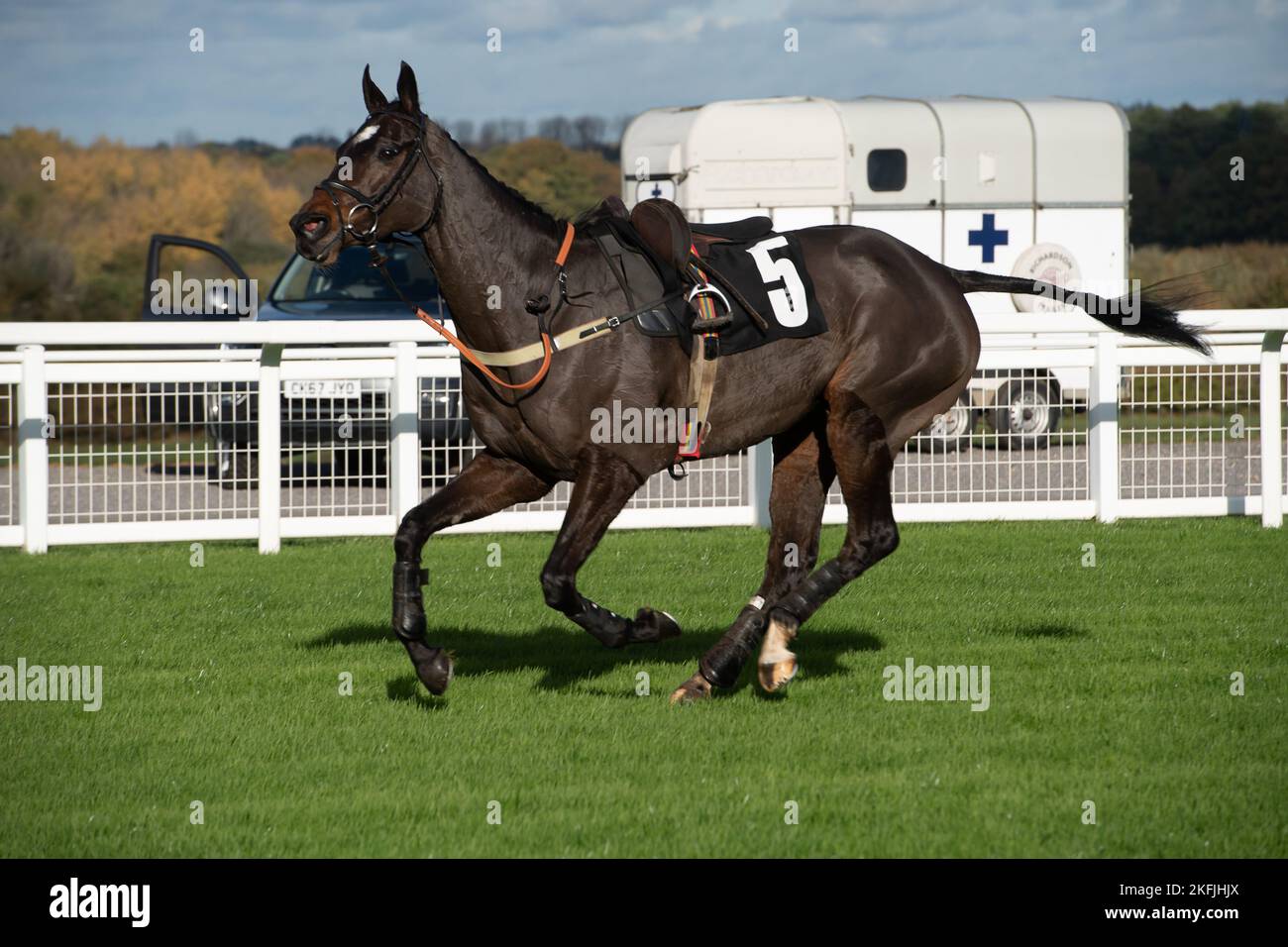 Ascot, Berkshire, Regno Unito. 18th Novembre 2022. Horse Forest Jump ha gettato il jockey Tom Cannon nel legno e nel legno segni National Hunt Maiden Hurtle Race all'ippodromo di Ascot. Credit: Maureen McLean/Alamy Live News Foto Stock