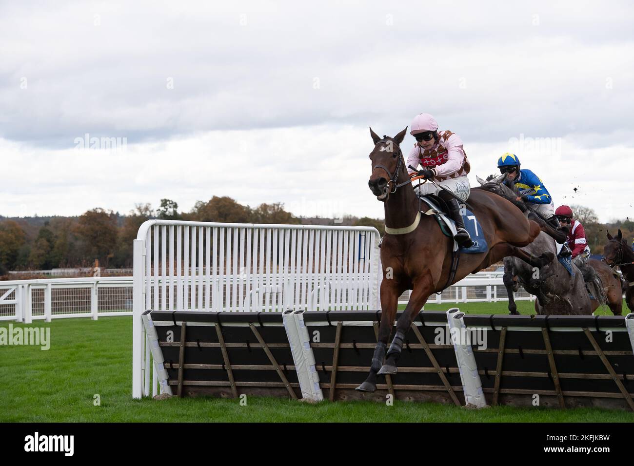 Ascot, Berkshire, Regno Unito. 18th Novembre 2022. Horse Mister Mose, guidato da Jockey Sean Houlihan, si trova nel primo miglio della Troy Asset Management Introductory Hridle Race all'ippodromo di Ascot. Credit: Maureen McLean/Alamy Live News Foto Stock