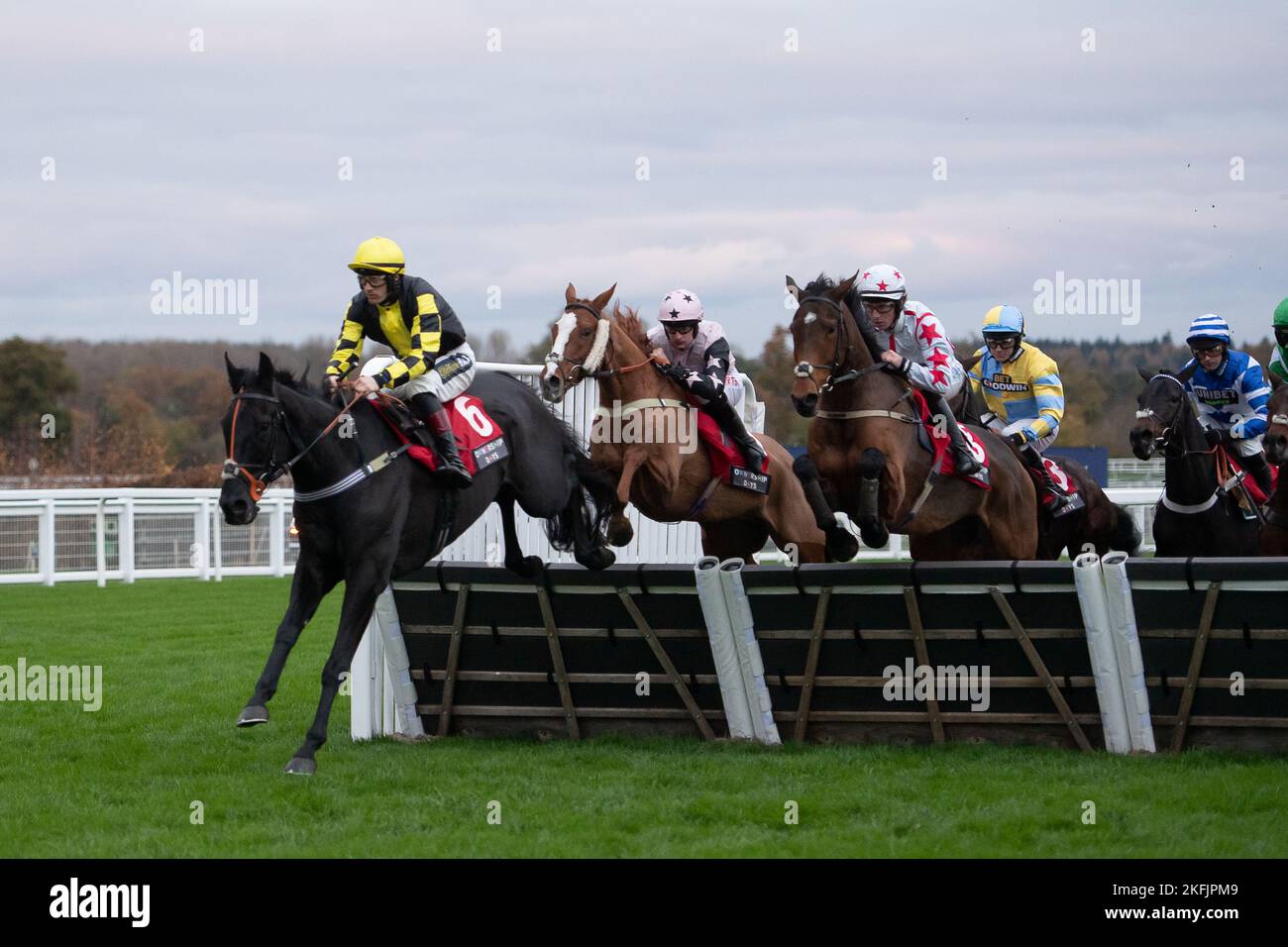 Ascot, Berkshire, Regno Unito. 18th Novembre 2022. Il Paddock Ownership Day Series Novices handicap corsa ostacoli. Credit: Maureen McLen/Alamy Live News Foto Stock