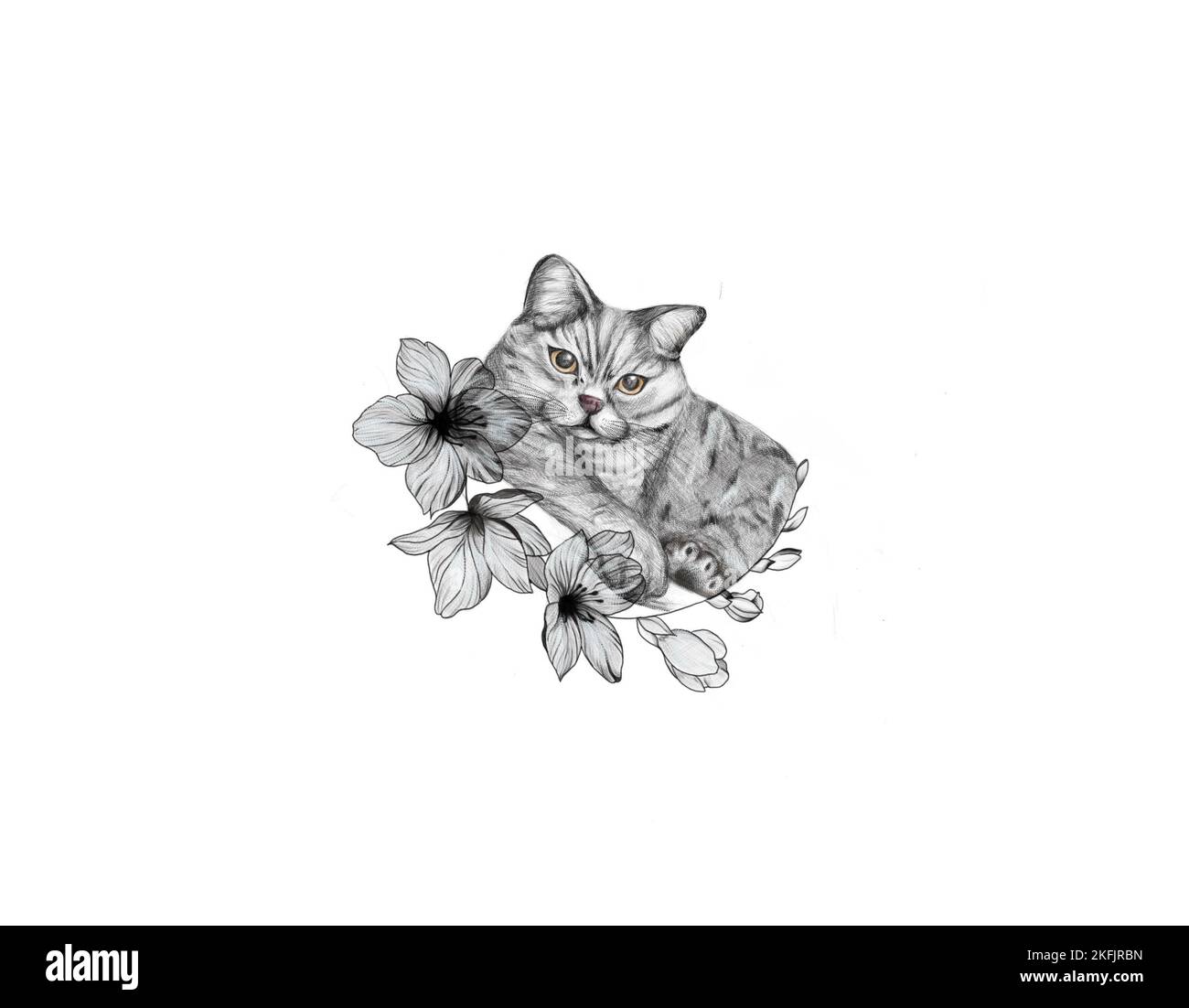Disegno a mano Cat. Può essere utilizzato per il tatuaggio Foto Stock Disegno a mano Cat. Può essere utilizzato per il tatuaggio Foto Stock