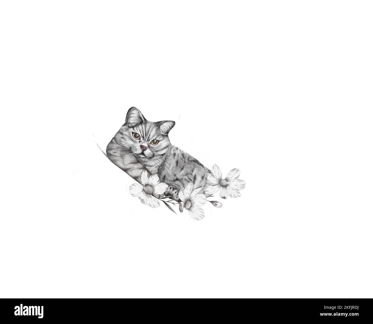 Disegno a mano Cat. Può essere utilizzato per il tatuaggio Foto Stock Disegno a mano Cat. Può essere utilizzato per il tatuaggio Foto Stock