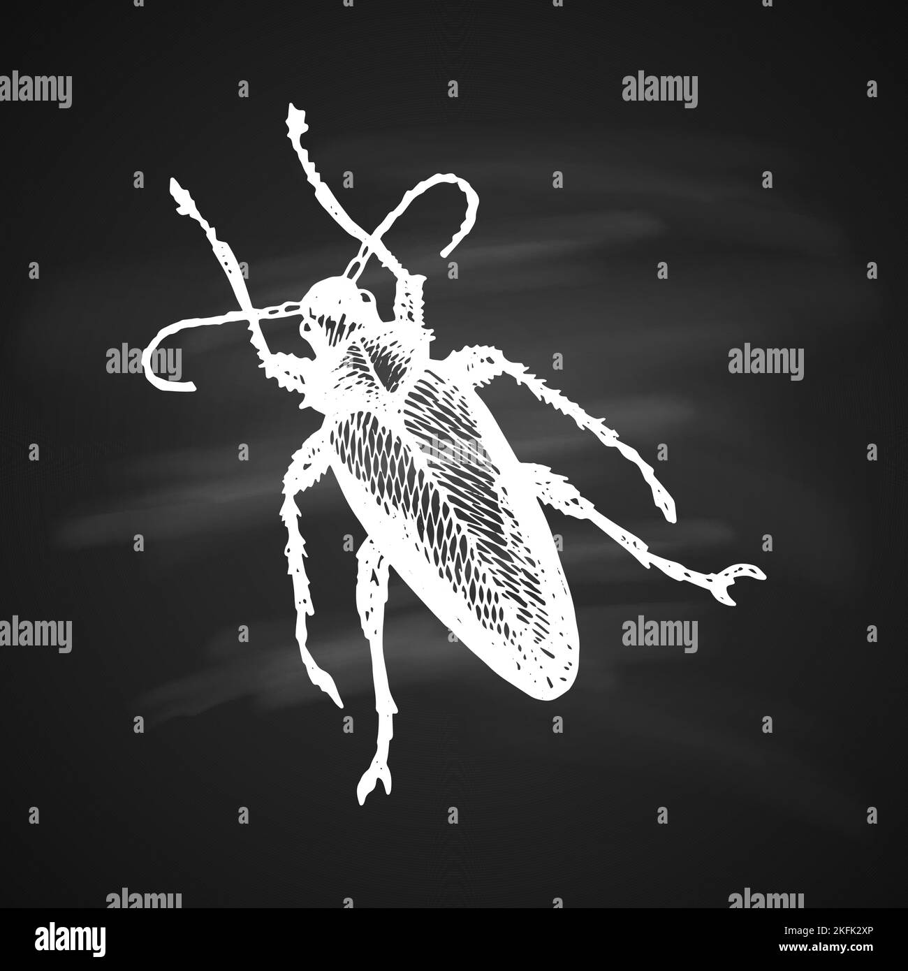 Icona di Longhorn Beetle dipinta una penna di gel bianco su sfondo nero Illustrazione Vettoriale