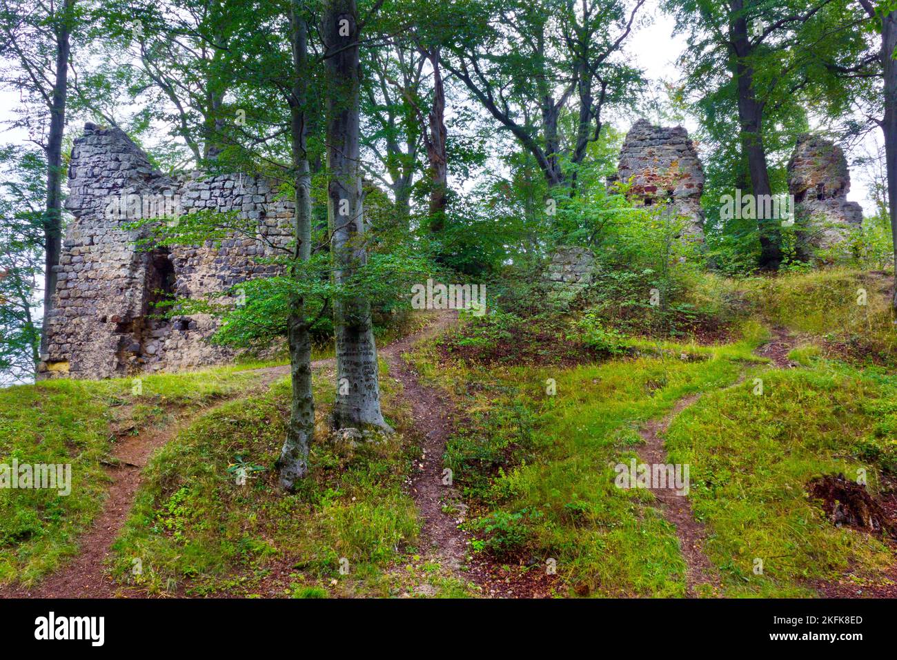 Resti di rovine del castello Devin in Hamr na Jezere, Repubblica Ceca Foto Stock