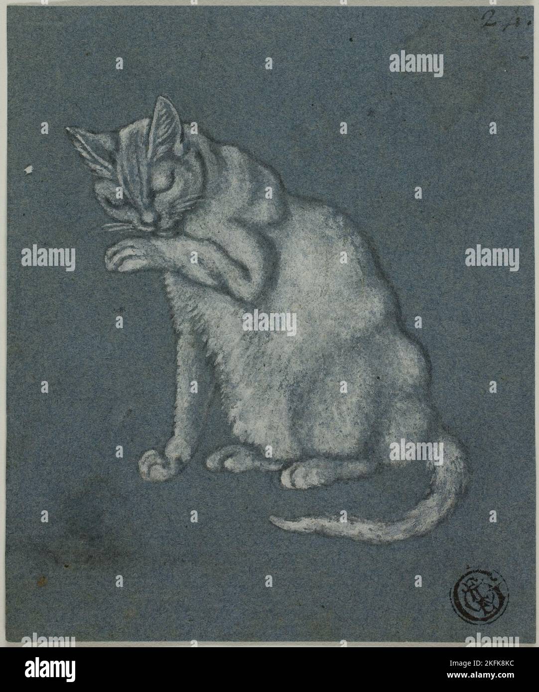 Gatto leccante Paw, n.d. Foto Stock