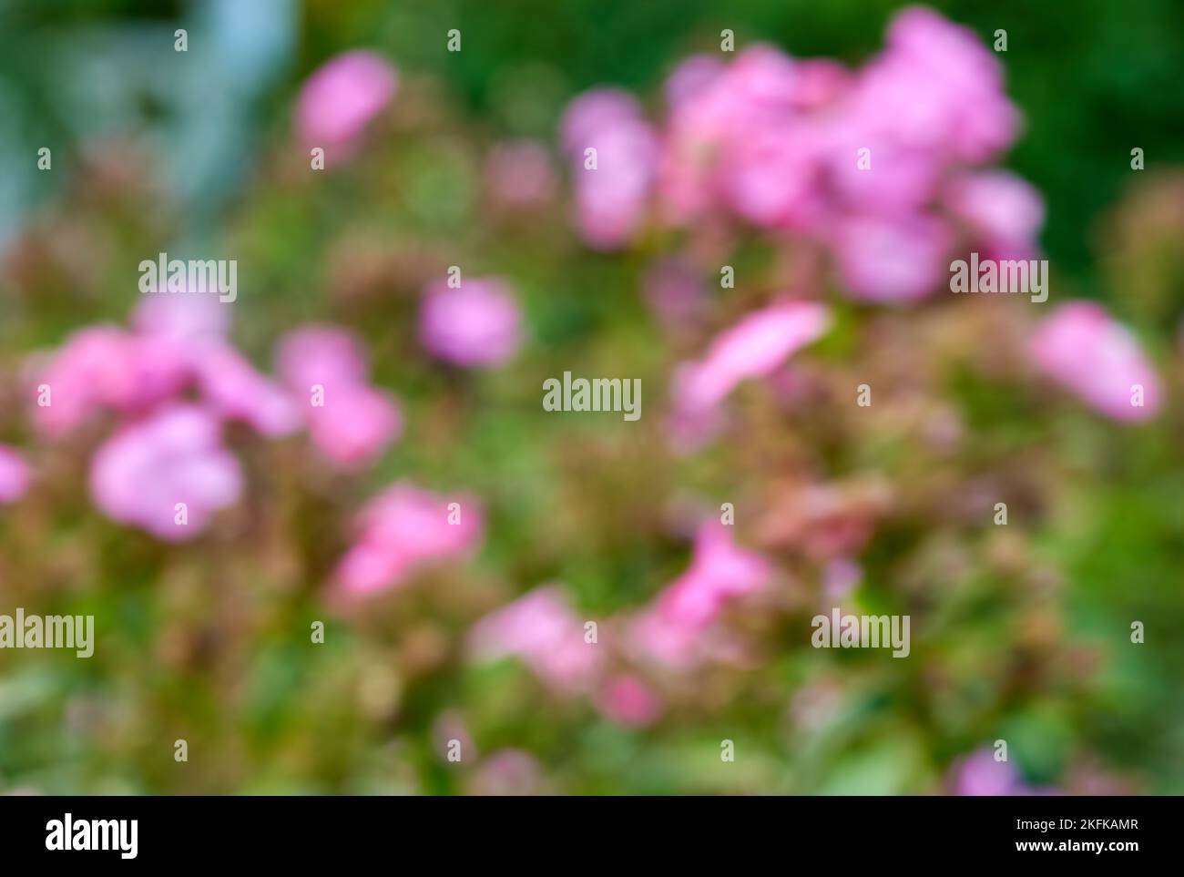 Fiori sullo sfondo. Uno sfondo strutturato. Foto Stock